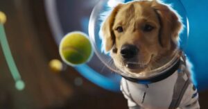 OpenAI Launches Sora 2 - Image Credit - OpenAI